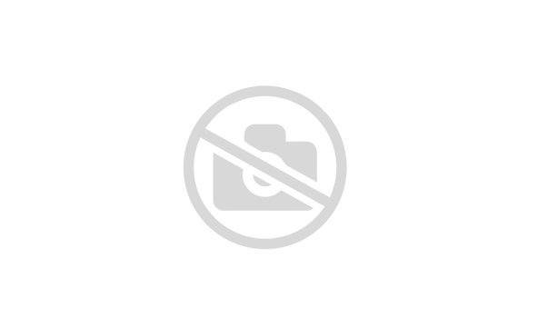 Террасная доска Exterpark Элондо без покрытия 21х100х800-2800