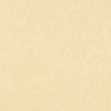 Виниловый пол LG Ceramic DTL/DTS 6081